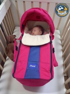 كاريكوت شيكو